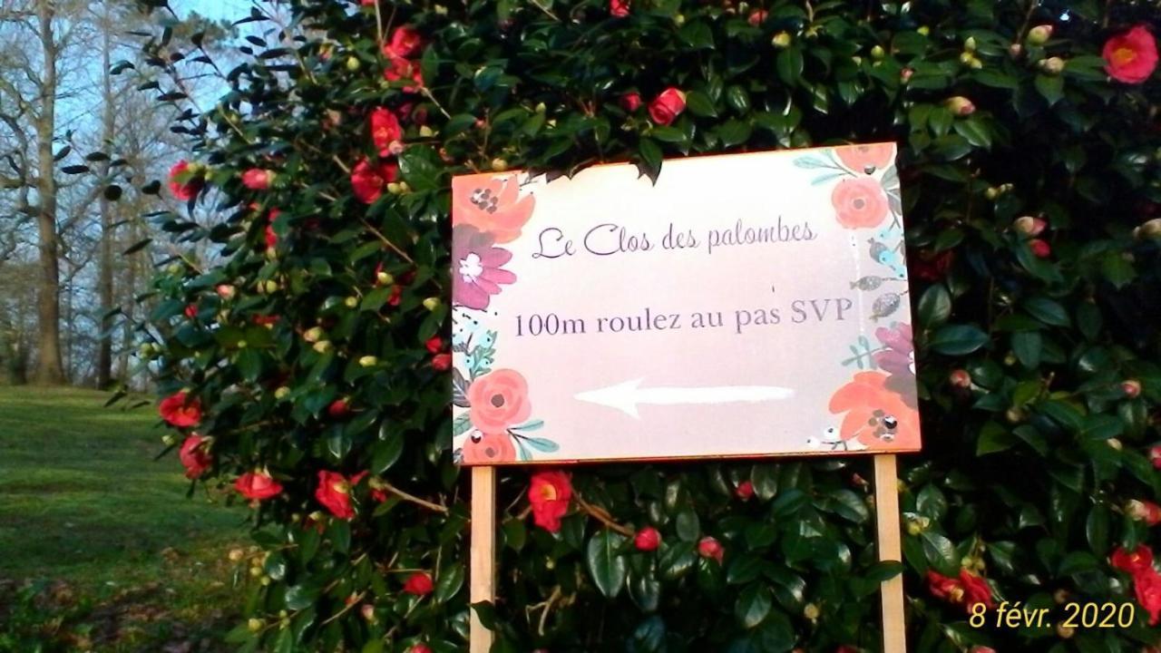Le Clos Des Palombes Wifi Climatisation Saint-Pierre-du-Mont  Ngoại thất bức ảnh