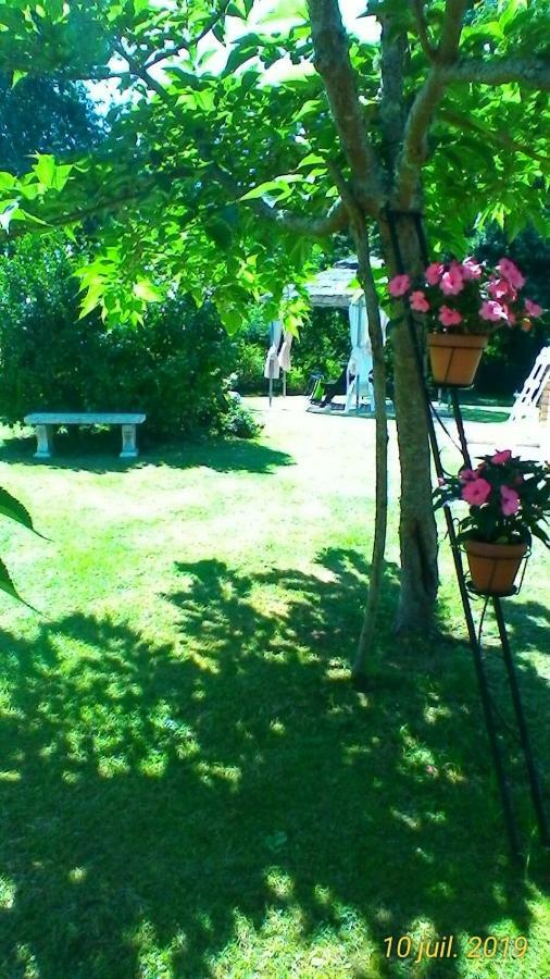 Le Clos Des Palombes Wifi Climatisation Saint-Pierre-du-Mont  Ngoại thất bức ảnh